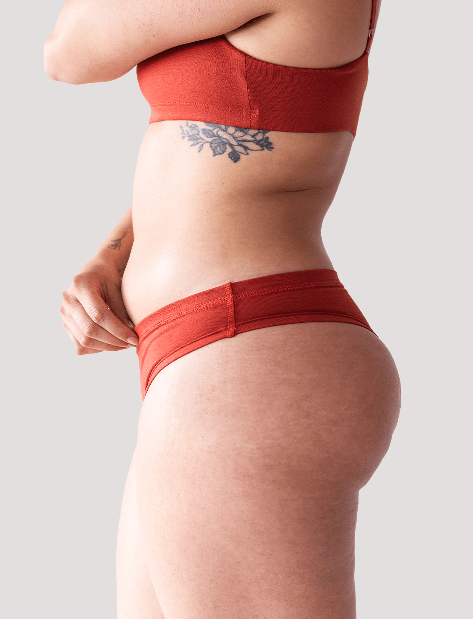Calzón Algodón - Bikini Ladrillo - Ria Underwear